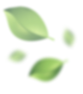 Leafs-mini